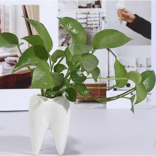1 Pc Tooth Shaped Ceramic Flower Pot Planter Plant Holder Succulent Plant Flower Pot