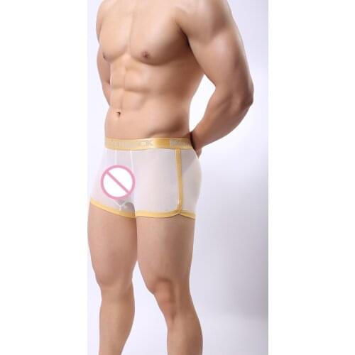 Hot Mens Transparent Big Boxer Golden Eage Mesh Homme Underwear Sexy Breathable Underpants