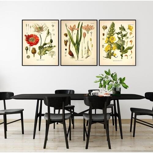 Vintage Botanical Prints Meadow Flower Prints Painting Posters French Plant Illustrations Wall Art Prints Picture Poster Decor