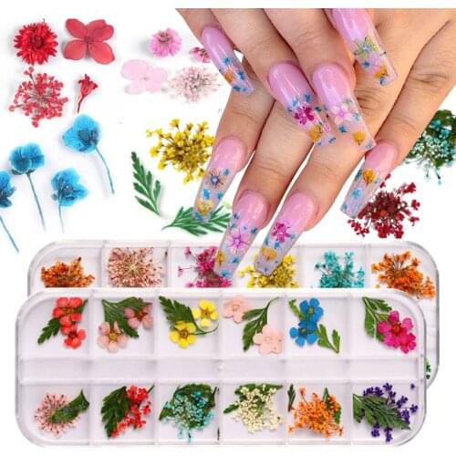 1 Box 3D Natural Dried Flowers Nail Art Decoration Colorful Flower Sunflower Daisy Leaf Designs Nails Decorations for Manicure
