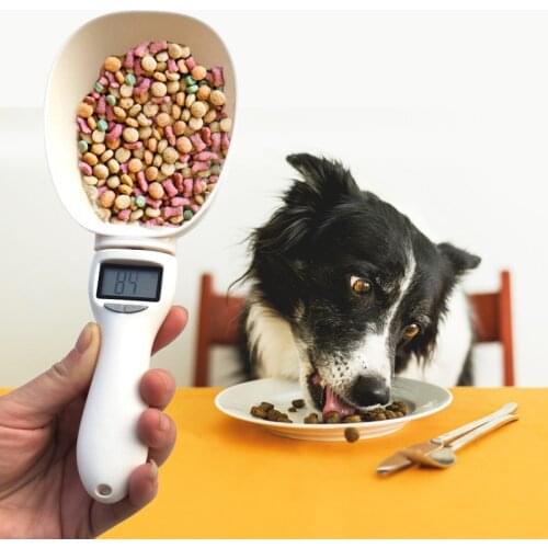 800g/0.1g Pet Food Scale Electronic Measuring Tool For Dog Cat Feeding Bowl Measuring Spoon Kitchen Scale Digital Display 250Ml
