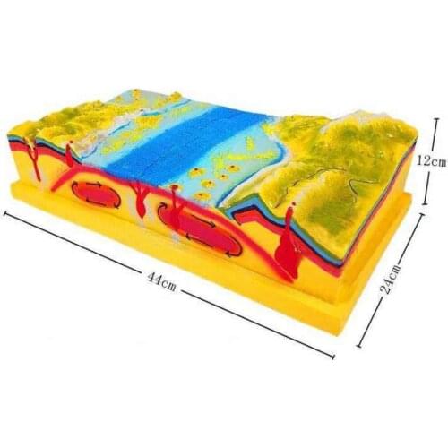 Structure and Surface Morphology Model of Geography Teaching Science and Education Equipment in Primary and Middle Schools