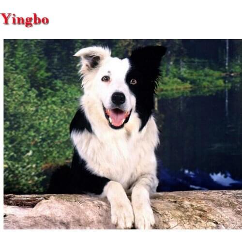 Wall Sticker Diamond Painting Cross-Stitch Germany border collie 5d Diamond Embroidery pet dog Rhinestones Full Square Round