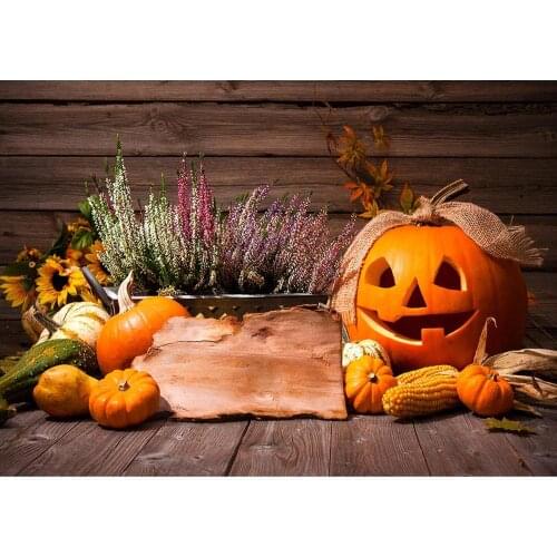 Halloween Pumpkins Flowers Wooden Board Photography Backdrop Custom Background for Children Baby Shower Photocall Fond Photo