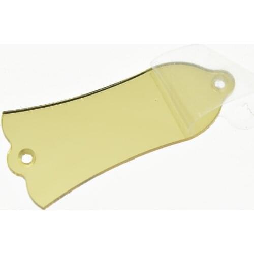 Gold Mirror Plastic LP Guitar Truss Rod Cover 2 Holes Fits Gibson Style Les Paul