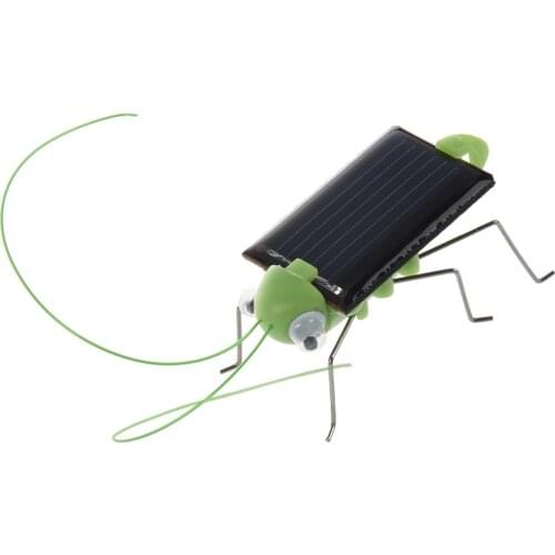 Solar Powered Grasshopper. Just Place in the Sun and Watch its Legs Jiggle and Wiggle