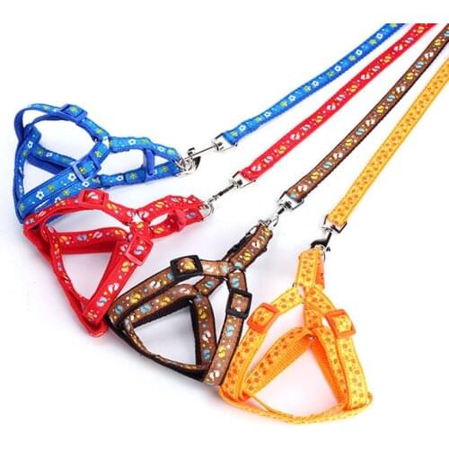 New Pet Dog Harness Leash Set Cartoon Animal Print Nylon Small Dog Cat Collar