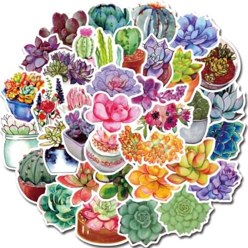 50pcs/set Succulent Plants Stickers Succulent Plants Waterproof Stickers for DIY Notebook Laptop Computer Letter Stationery