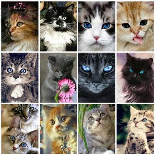 5D Diamond Painting Cat Cute Kitten Diamond Embroidery Cats Animal Pattern Cross Stitch Kit Full Round Drill Mosaic Home Decor