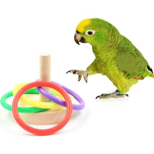 Wooden Bird Parrot Platform Plastic Rings Intelligence Training Chew Toy Bird Puzzle Toys Pet Supplies S/L C42