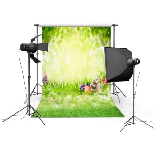 2020 Baby born backgrounds photography vinyl happy Easter photo backdrops of photographer studio accessories photophone GE-061