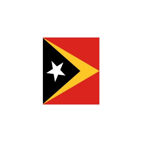 East Timor Flag 90*150cm with white sleeve any hobby history USA FLAG BANNER