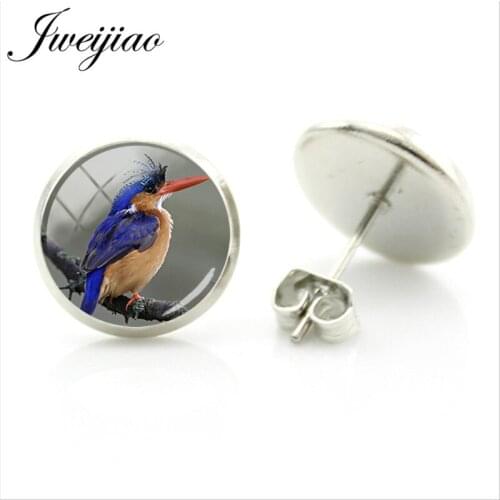 JWEIJIAO New Vintage Color European Birds Earrings Animal Bird Photo Glass Cabochon Dome Stud Earrings Jewelry BD07