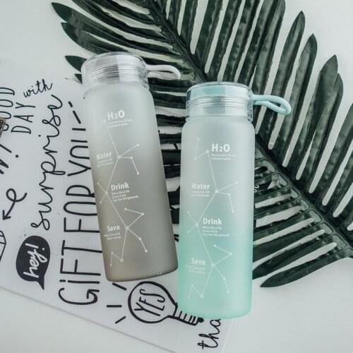New Simple Constellation Frosted Glass Student Trend Water Bottle Creative Net Celebrity Home Large-capacity Tea Bottle