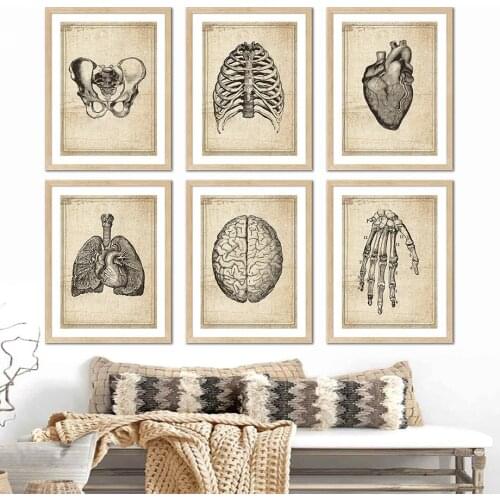 Lung Brain Human Organs Medical Education Wall Art Canvas Painting Nordic Posters And Prints Wall Pictures For Living Room Decor