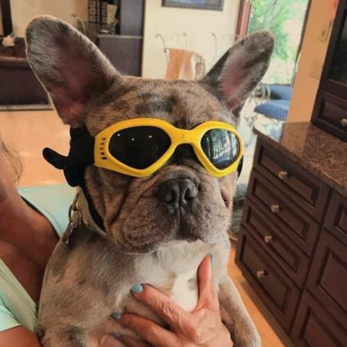 Ski Goggles Pet Foldable Creative Cat Dogs Eye-wear Protection Pet Glasses Pet Accessories Sunglasses for Small, Medium Dogs