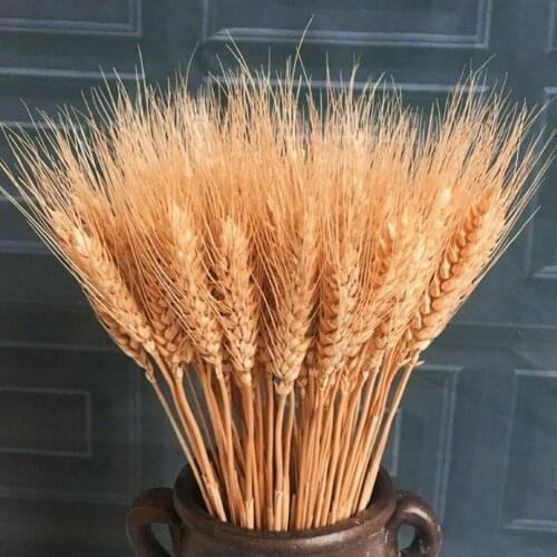 25PCS 37CM Natural Dried Wheat Flower Bouquet Wreath Fake Flowers DIY Scrapbooking Home Garden Wedding Party Decoration Autumn