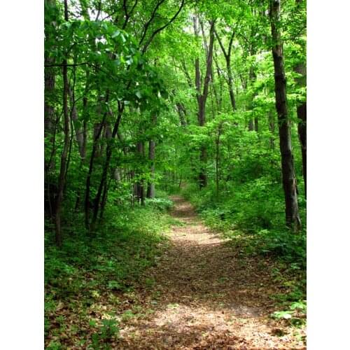 5x7ft Art photo studio newborn backdrop photography background natural scenery backdrop