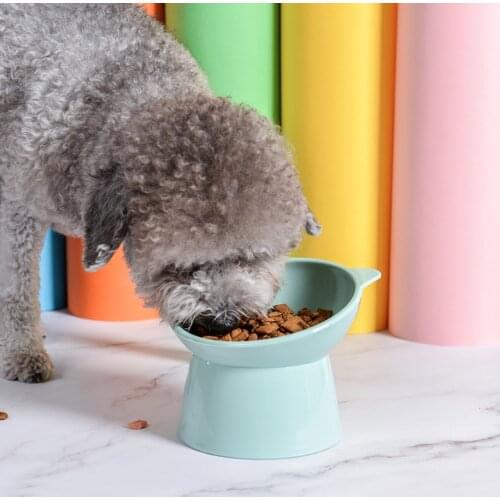 Single Cat Bowl For Cats Water Bowls Transparent Non-Slip Cat Food Bowl For Dogs Bowls Eating Pet Feeder With Stand For Dropship