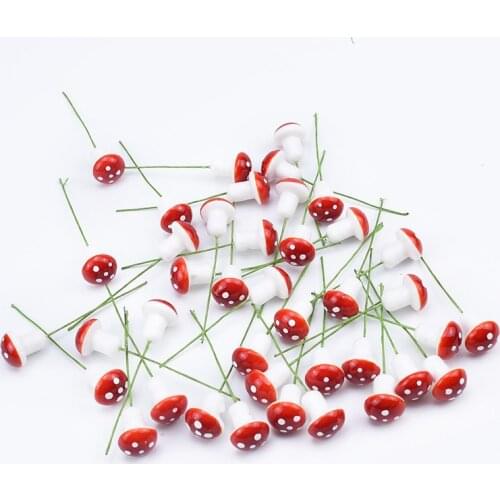 TTCY Ornamental Vegetables