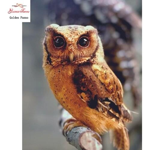 5D DIY Diamond Painting Square Stones yellow owl Diamond Embroidery Sale animal Diamond Mosaic Full Display Home Decor