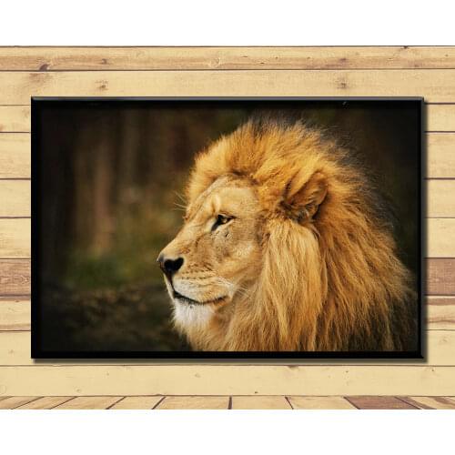 Lion King Of Animal Ferocious (32) Wall Posters Prints Silk Art Painting For Home Wall Bedroom Decor