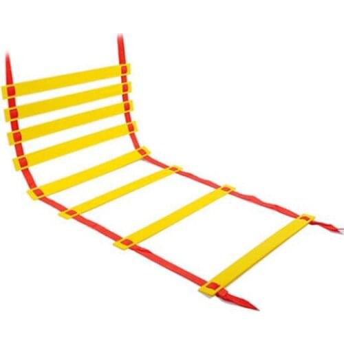 6M 12rungs Agility Ladders