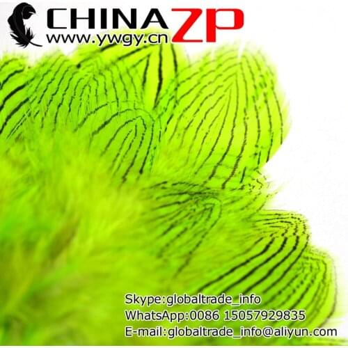Wholesale in CHINAZP Factory 2000pcs/lot 8~10cm Length Fluffy Decorative Dyed Lime Green Silver Pheasant Plumage Feathers
