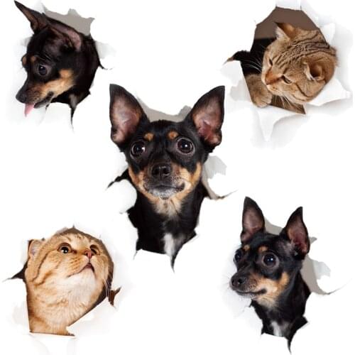 3D Cute puppy kitten Wall Sticker Bathroom Toilet cupboard Home decoration Decals Background wallpaper Cats and dogs Stickers