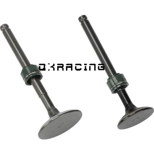 Intake exhaust valves with Oil Seal Assy Kit For 60mm Bore YinXiang YX 150 160 150cc 160cc Engine Dirt Pit Bikes ATV Parts