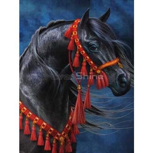 Diamond Painting Black Horse Animal Square Diamond Round Diamond Decoration Customizable Wall Art Decoration Frameless Style