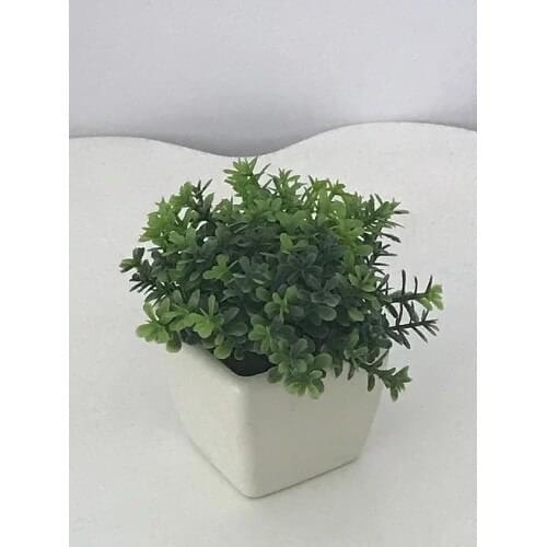 SAMPURHCASE Ornament Poppy Flower Mini Saksısında 6215S