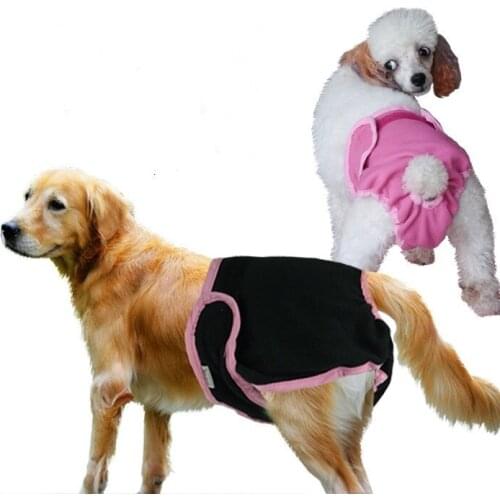 Dogs Physiological Trousers Magic Stick Pet Physiological Trousers Teddy Golden Pure Cotton Physiological Trousers