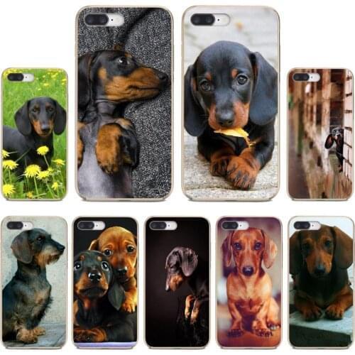 Dachshund-Teckel-Dackel-Dog For Samsung Galaxy S7 S8 S9 S10E S20 FE Note 10 20 Edge Lite Plus Ultra Silicone Bag Case