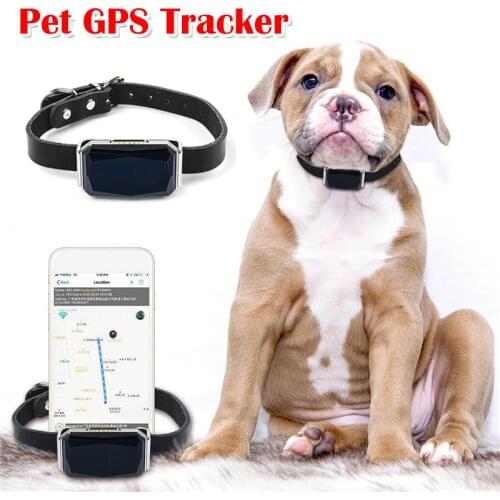 Intelligent Pets GPS Tracker WIFI Mini GPS Pet Collar Cat Dog Cattle Sheep Cow Anti-Lost Tracking Locator Magnetic Charging