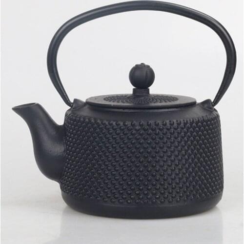 Japanese health pot cast iron pot uncoated handmade teapot kung fu tea kettle 850ML