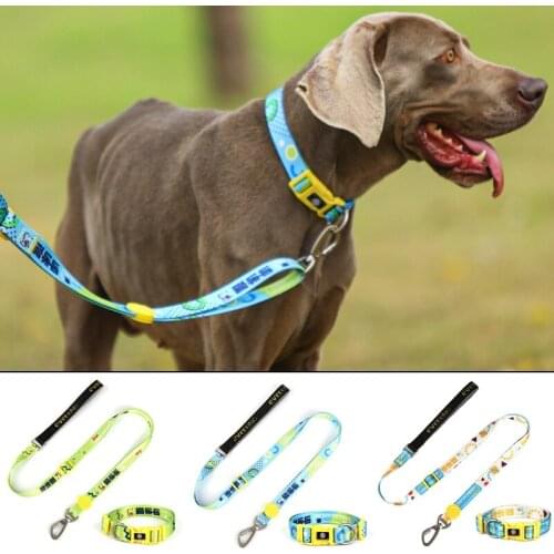 Rich and colorful dog Collar Graffiti Adjustable Dog Collar and leash Set Pet Leash for small medium and larg dogs accessoires