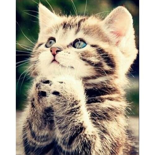 DIY 5d diamond painting cat mosaic pattern diamond embroidery cats painting rhinestones diamond painting animal point de croix