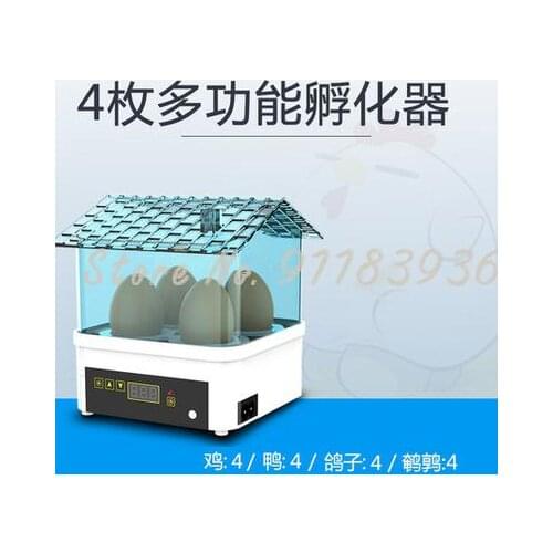 Incubator Small Household Water Bed Automatic Intelligent Mini Cole Duck Childrens Chicken Incubator 1 Small