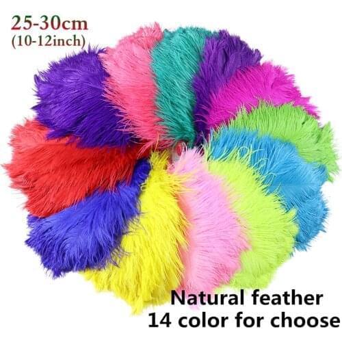 Wholesale 25-30cm Ostrich Feathers Wedding Carnival Party Decoration Jewelry Accessory for Crafts Ostrich Plume 10/50/100pcs