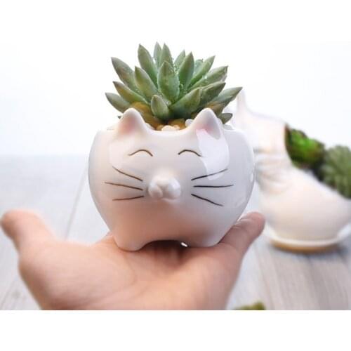 Creative Cartoon Ceramic Flower Pot Ceramic Fleshy Flower Pot Cat Small Animal Flower Pot Bedroom Desktop
