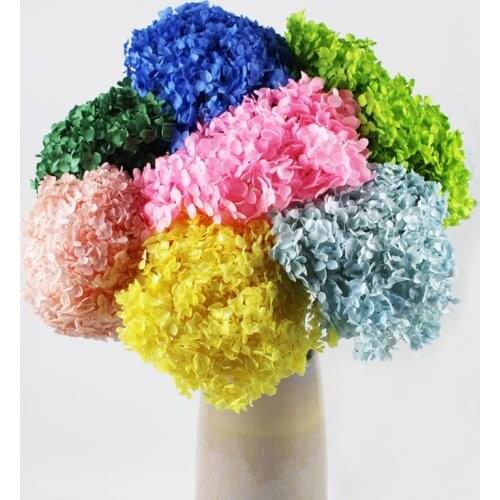 20-30cm Head Preserved Anna Hydrange Large High Quality Eternal Flower Hydrangea Preserved Immortal Flower Wedding Bouquet