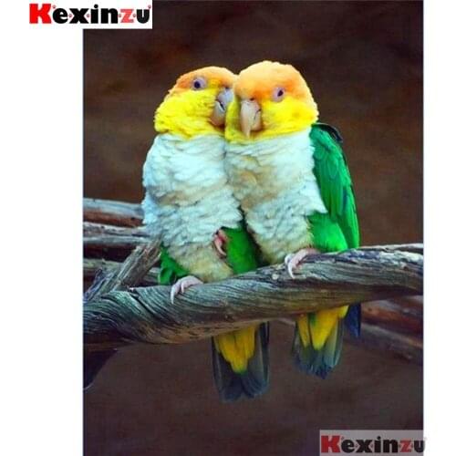 Full Square/Round 5d Diamond Painting-Parrot couple-3d Embroidery Cross Stitch Mosaic Full Picture Of Rhinestone Decor Y113367