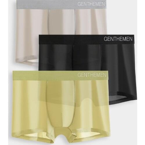 3-pack Silk Underwear Men Boxer Panties Men Underwear Boxers Nylon Shorts Boxershorts Cool Underpants Natural Quality