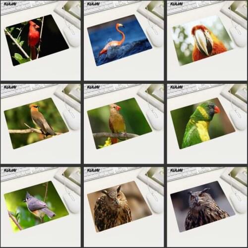 XGZ Selects A Variety of Beautiful Bird Mouse Pads 22X18 Cm Home Office Laptop Suitable for Company Wholesale Ordering Gifts