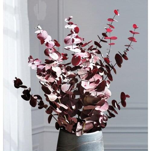 Real Natural Eucalyptus Leaves Preserved Dried Flowers Gift Valentine Newyear 2021 Wedding Photograph Desktop Home Decoration