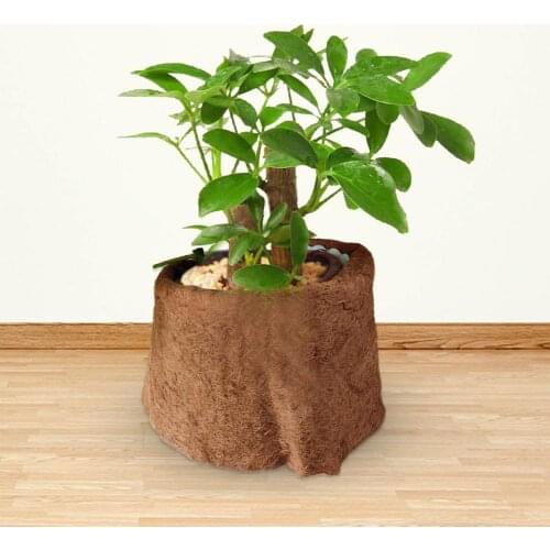 Coco Liner Sheet Coconut Palm Mat Cuttable Floor Mat Door Mat Floor Mat Door Mat Coconut Palm Hanging Basket Mat