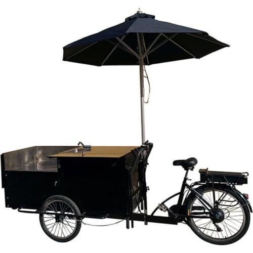 Customize Electric Hot Dog Tricycles 3 Wheels Pedal Bicycle Vending Food Cart with Freeze on Sale
