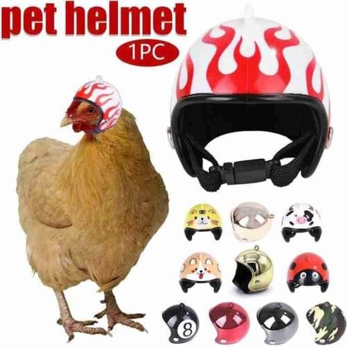Chicken Helmet Cap Pet Poultry Bird Duck Headgear Hat Caps Head Protector Bird Hens Small Pet Supplies Costumes Accessories
