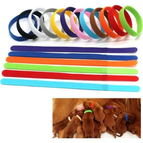 Pet Supplies Dog Collar Adhesive Fastener Tape 12 Color Dog ID Tag Collar Accessories Soft Material Nylon Pet Cat Puppy Dog